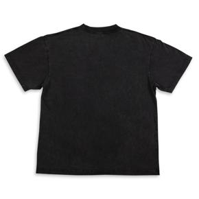 Eibach AP1-FLAG-1 photo