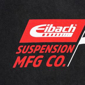 Eibach AP1-FLAG-1 photo