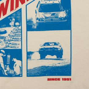 Eibach AP1-FWIN-1 photo